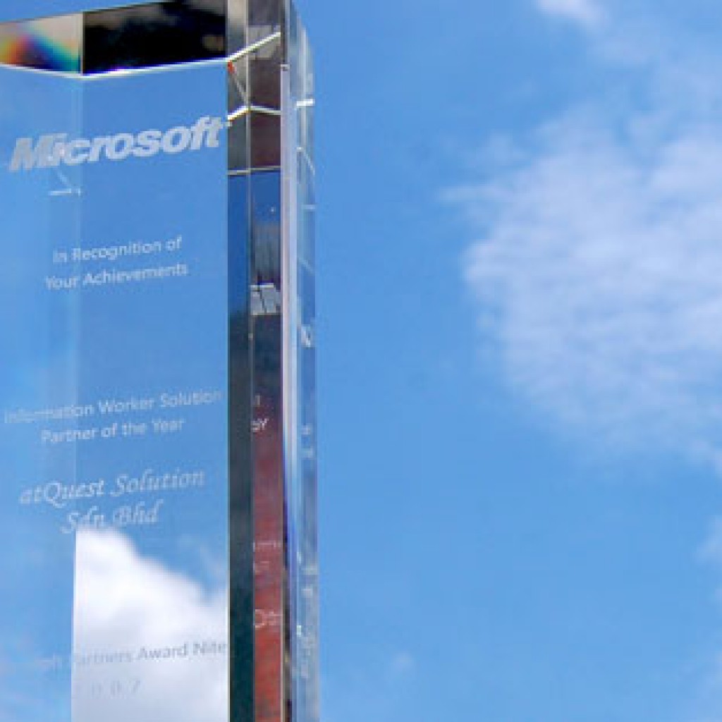 Microsoft Partner Year